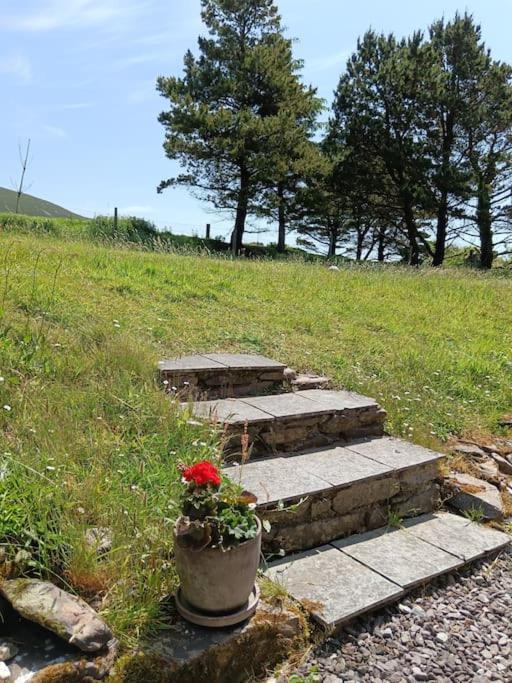 Ferienwohnung Dingle Escape -2 Bed -Sleeps 4 Exterior foto