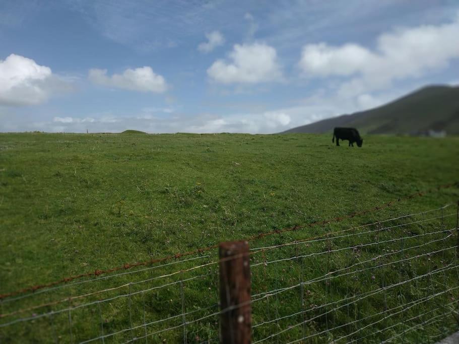 Ferienwohnung Dingle Escape -2 Bed -Sleeps 4 Exterior foto